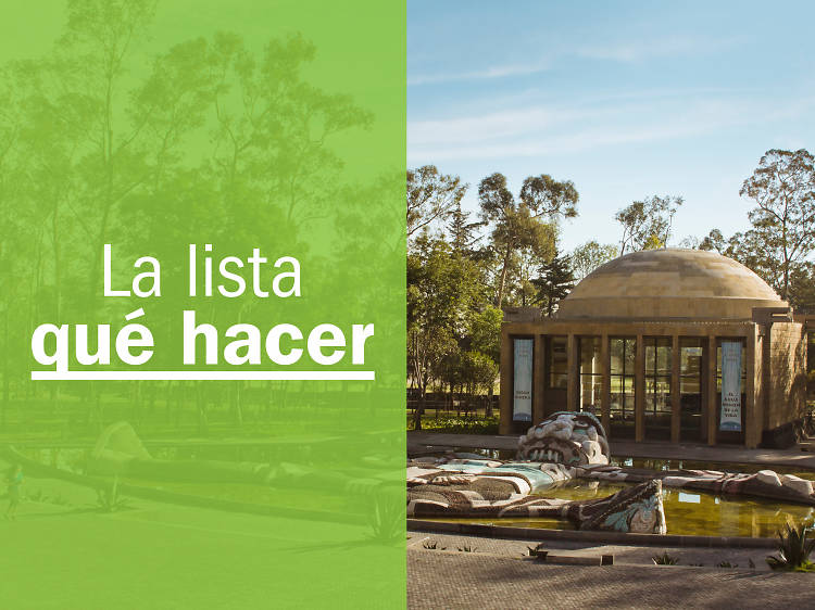Las 50 mejores cosas que hacer en la CDMX